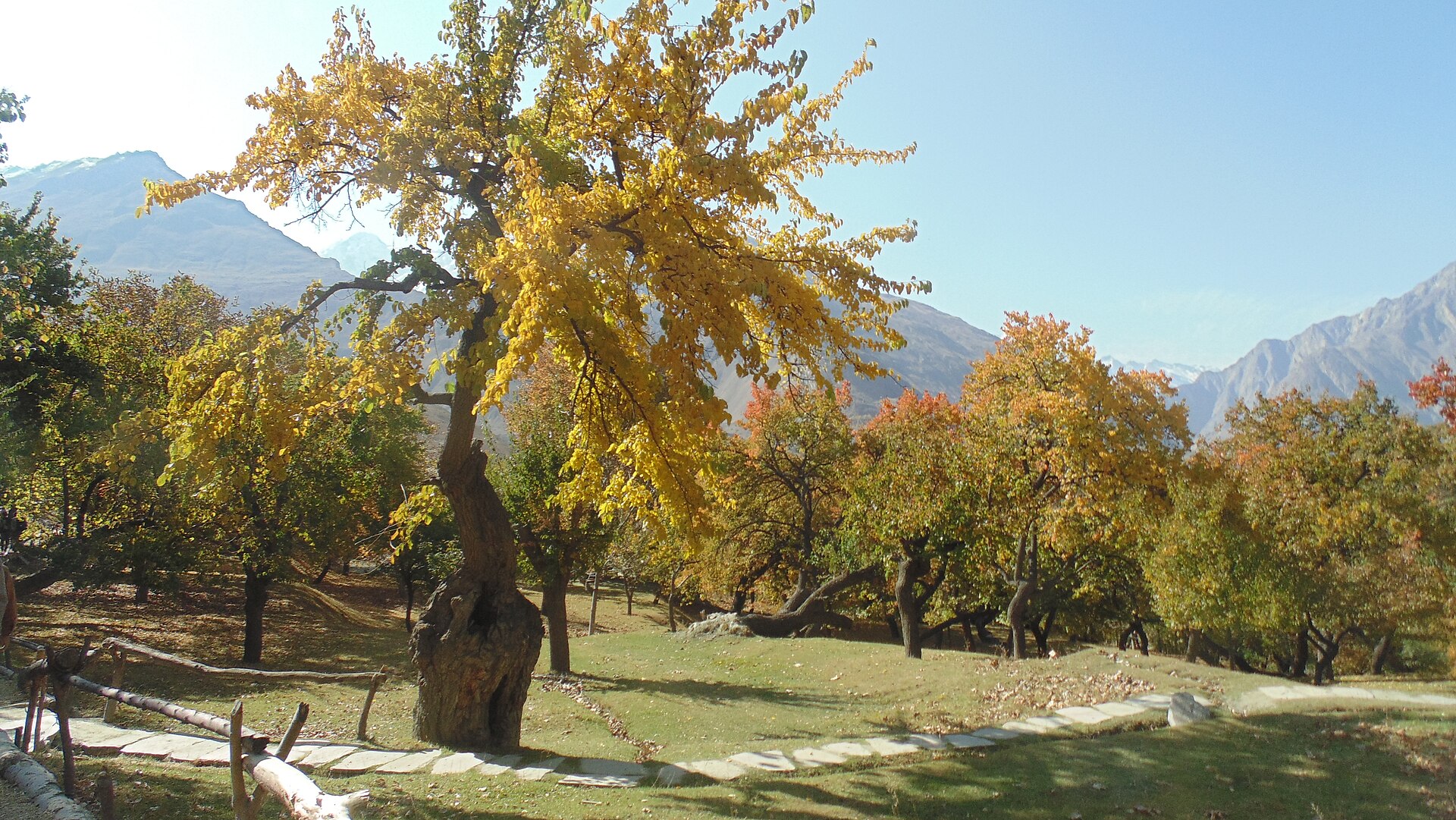 Hunza blog