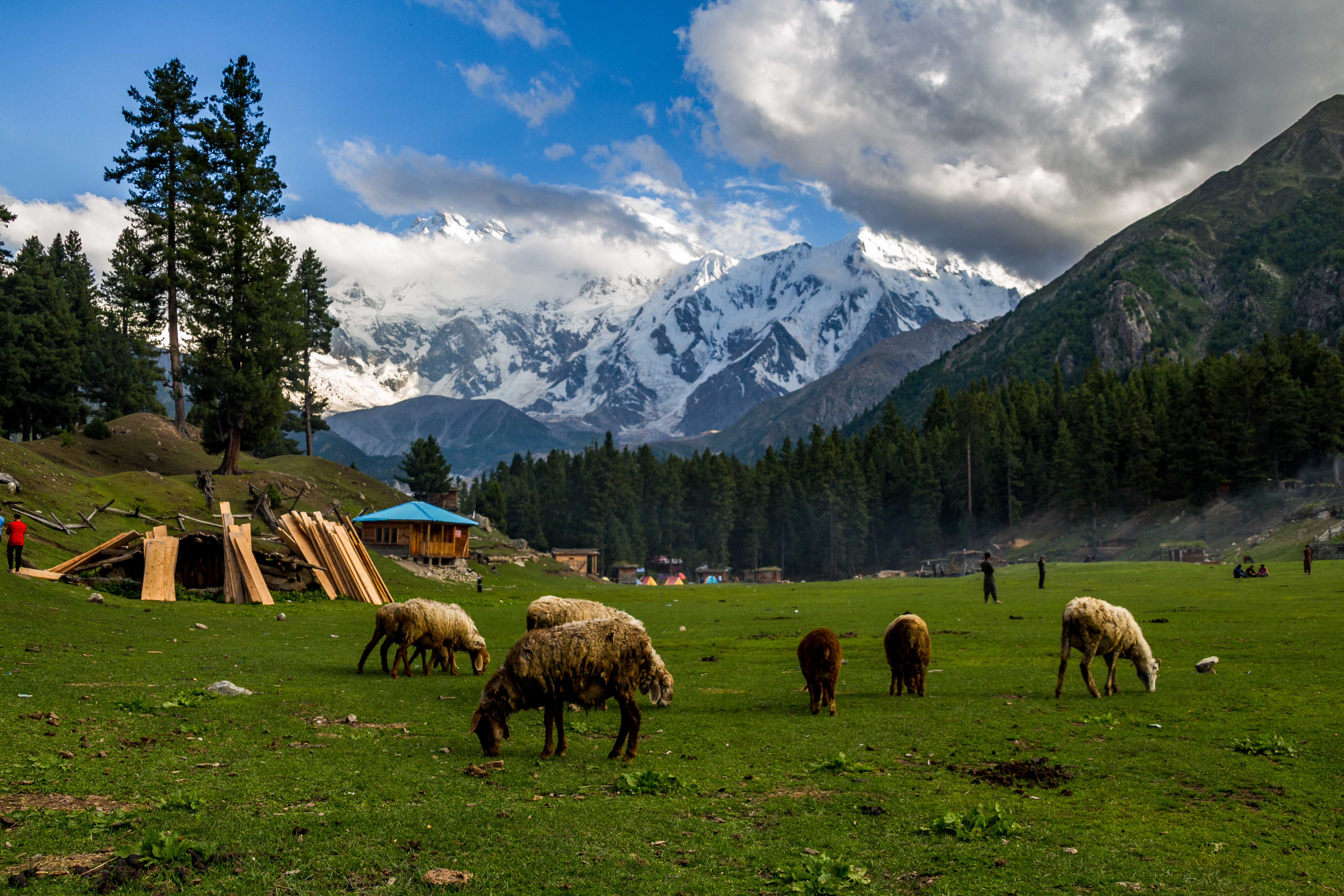 Fairy Meadows blog