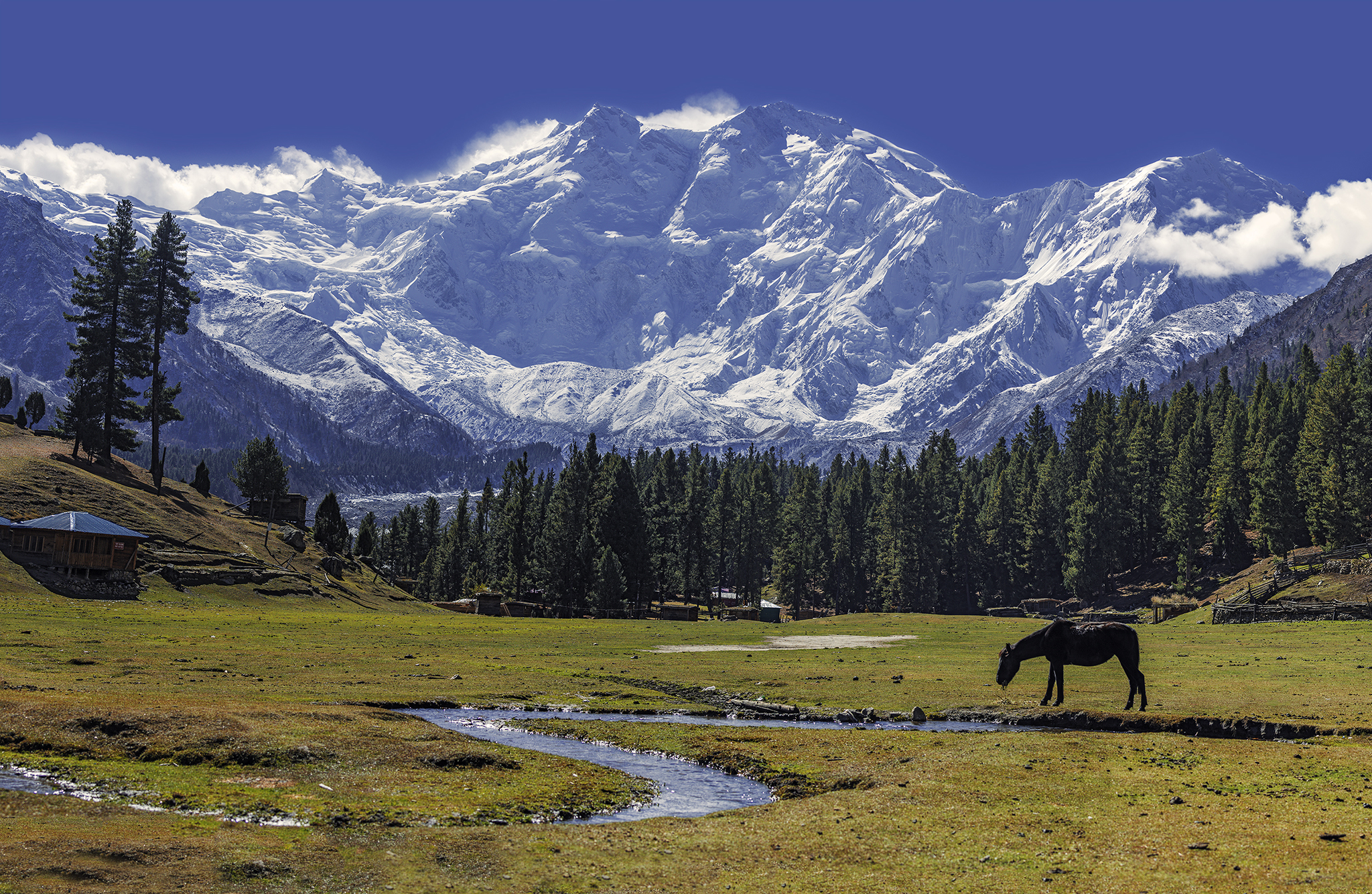 Fairy Meadows on a Budget: Hidden Costs, Best Cottages & Insider Tips