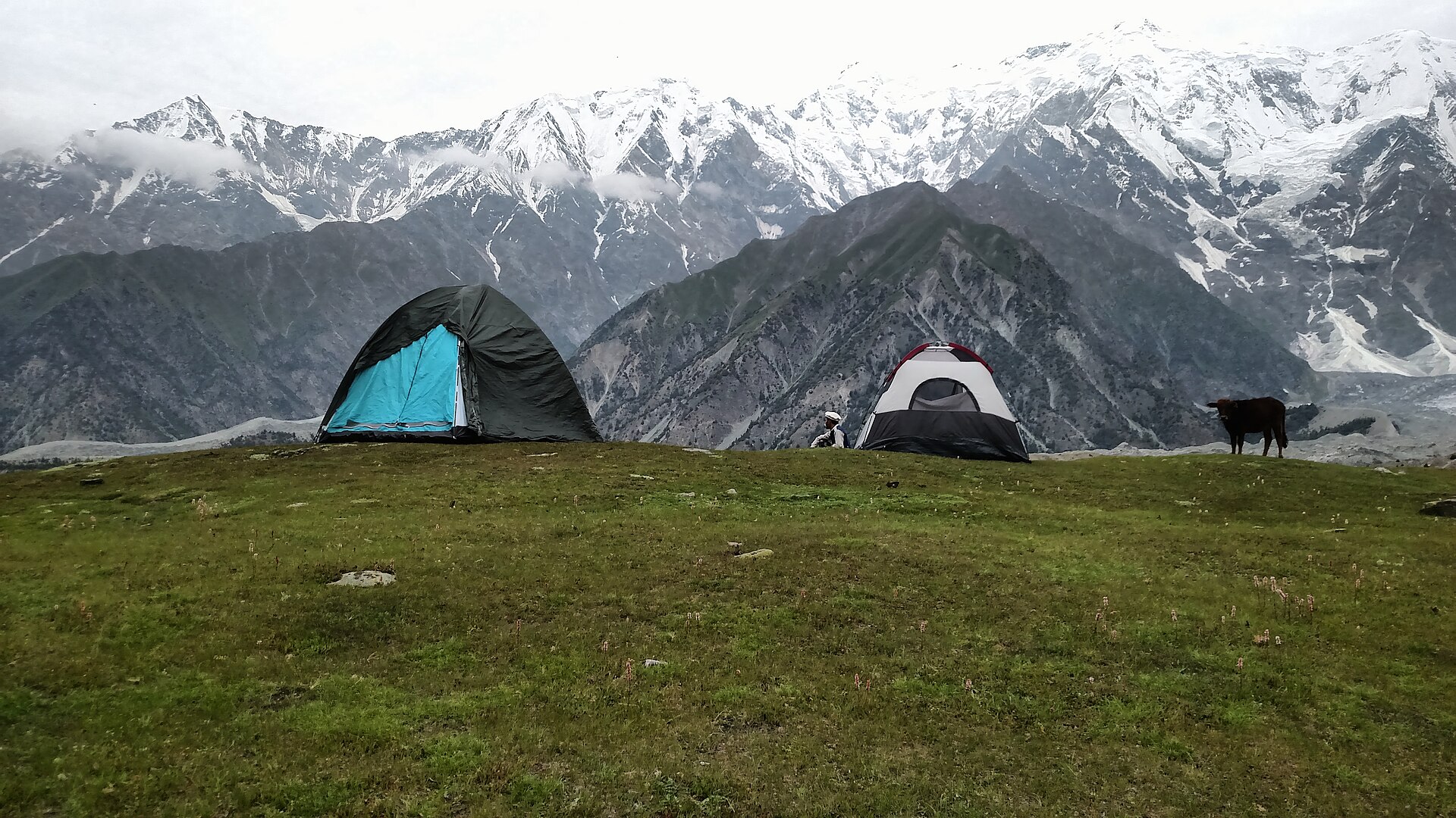 Rakaposhi